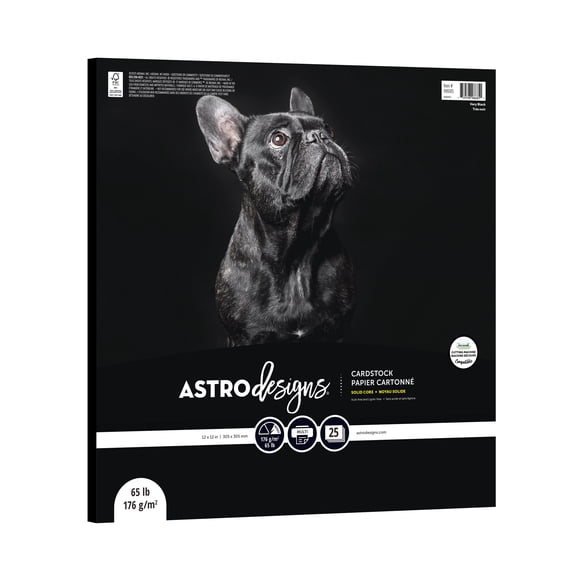 Astrodesigns Cardstock, Very Black, 12" x 12", 65 lb/176 Gsm, 25 Sheets (98685)