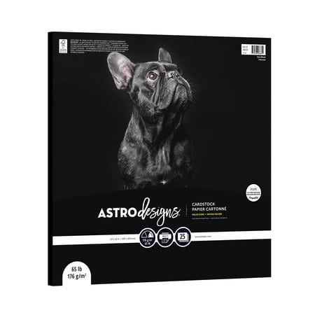 Astrodesigns Cardstock, Very Black, 12" x 12", 65 lb/176 Gsm, 25 Sheets (98685)