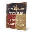 thumbnail image 1 of I'm From Texas |20" x 24" Metal wall art, 1 of 1