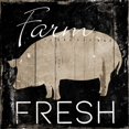 thumbnail image 2 of Villa, Mlli 12x12 Black Ornate Wood Framed with Double Matting Museum Art Print Titled - Farm Fresh Pig, 2 of 4