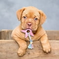 thumbnail image 4 of Durable Interactive Dog Chew Toy For Aggressive Chewers Long Lasting Bone Design Pet Teeth Cleaning Puppy Teething Supplies For All Size Dogs, 4 of 5