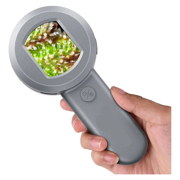 P10 Microscope for Adults Kids Handheld Coin Magnifier with Light for Error Coins Collector ,Widely Used
