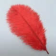 thumbnail image 4 of Red Ostrich Feather,Bexikou 20 Pcs 8-10 inch(20-25 cm) Ostrich Feathers for Crafts Floral Arrangement,Wedding Party Centerpieces Home Decorations, 4 of 7