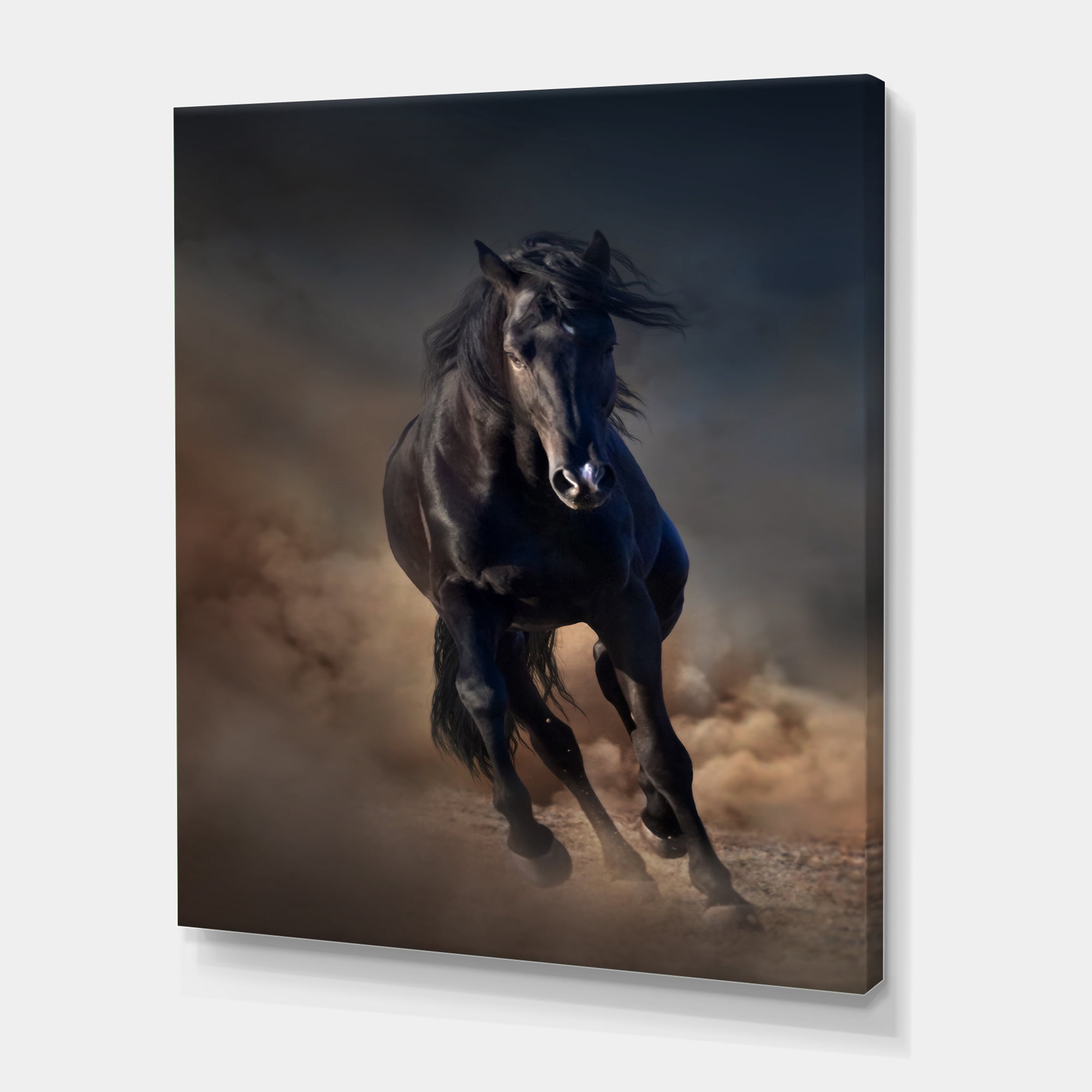 Designart ' Close Up Of Thoroughbred Nonius Stallion Horse I ' Farmhouse Canvas Wall Art Print