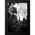 thumbnail image 2 of Berzel, Erin 17x24 Black Modern Framed Museum Art Print Titled - Ancient Ta Prohm I, 2 of 5