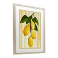thumbnail image 2 of Stupell Industries Farmhouse Lemons on Green Branch Birch Framed Print Under Glass, 17 x 21, by Yen, 2 of 8