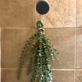 thumbnail image 3 of Fresh Eucalyptus Shower Bundle | Eucalyptus Plant | Fresh Eucalyptus | Eucalyptus Shower Bundle | Plants | Aromatherapy | Stress Relief Gift, 3 of 6