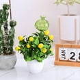 thumbnail image 2 of Ounissouiy 3x fácil de agregar accesorios de plantas eficaces en agua para jardinería interior inserto de maceta de autorriego Jardín y Patio B, 2 of 6