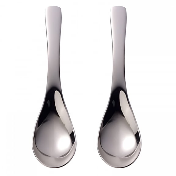 ACDANC 2Pcs Stainless Steel Spoons Children Spoons Soup Spoons Rice Spoons Kids Tableware