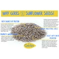 thumbnail image 2 of Unsalted Roasted Sunflower Seed Kernels by Gerbs - 2 LBS. - Top 14 Food Allergen Free & NON GMO - Vegan & Kosher, 2 of 5
