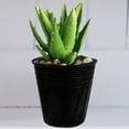 thumbnail image 1 of unbranded 100Ud Bolsa De Cultivo De Pe Para Jardinería Con Drenaje Y Material Resistente Y Duradero, 1 of 8