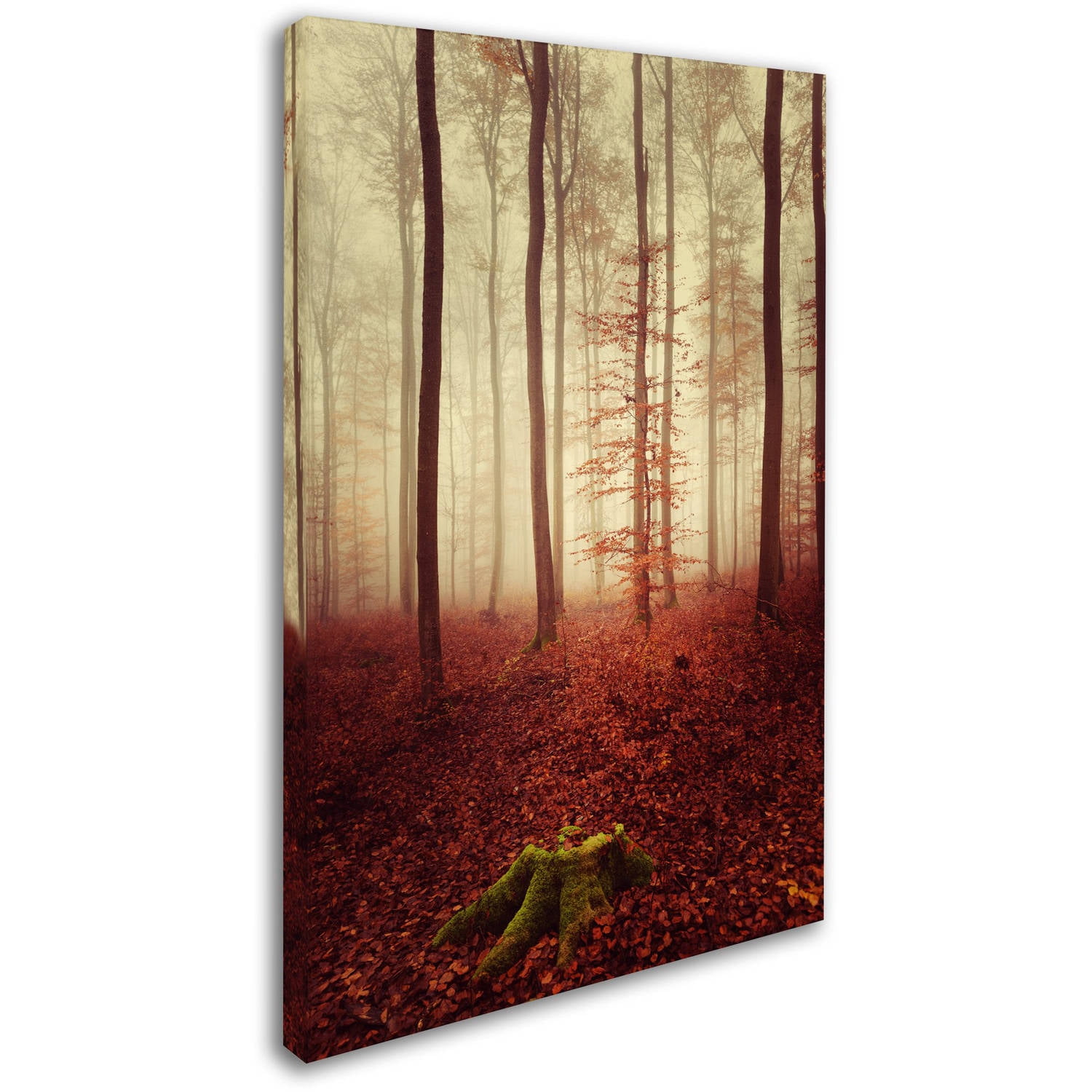Trademark Fine Art "Land of the Free" Canvas Art by Philippe Sainte-Laudy