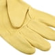 thumbnail image 3 of Guantes protectores de apicultura con manga larga de malla herramienta de trabajo para apicultores principiantes XL, 3 of 8