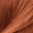 thumbnail image 2 of Kit de color permanente IGK (paquete de 2) COBRE COLA - Rubio cobrizo oscuro 7C | Fácil Aplicación + Fortalece + Brilla | Vegano + Libre de crueldad animal + Sin amoníaco |, 2 of 3