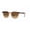 Polished Havana On Transparent Brown Frame | Polarized Brown Lens, variant on RAY-BAN RB2298 HAWKEYE Square Shape Sunglasses Polished Striped Havana Frame | Brown Lens 52mm