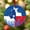 Texas, variant on UCEI USA 250th Anniversary Crystal Glass Ornament Round Keepsake 3.07"