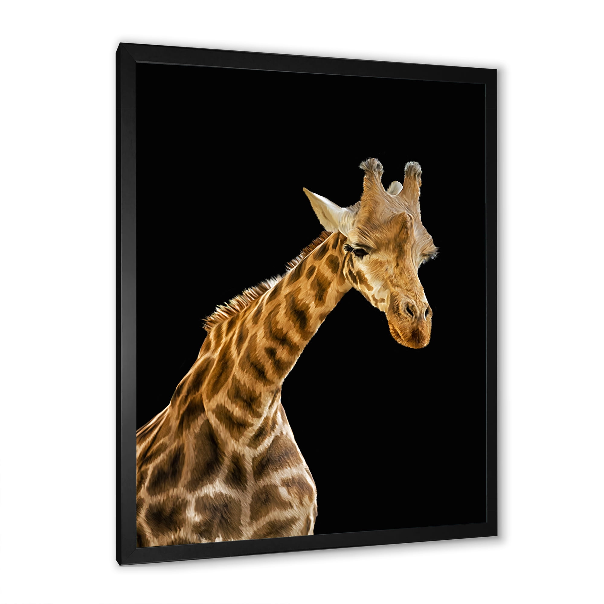 Designart 'Portrait of A Giraffe On Black Background II' Farmhouse Framed Art Print