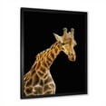 thumbnail image 2 of Designart 'Portrait of A Giraffe On Black Background II' Farmhouse Framed Art Print, 2 of 4