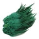 thumbnail image 5 of Paquete de 50 plumas de gallo de 13-18 cm teñidas de colores para manualidades y regalos de boda. de color verde oscuro, 5 of 7