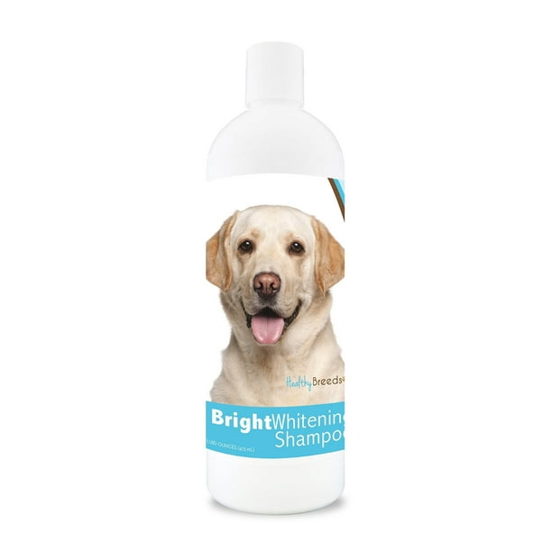 Healthy Breeds Labrador Retriever Bright Whitening Dog Shampoo 12 oz