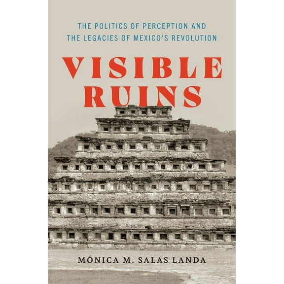 Visualidades: Studies in Latin American Visual History: Visible Ruins : The Politics of Perception and the Legacies of Mexico's Revolution (Hardcover)