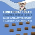 thumbnail image 3 of waggedy Calm with Melatonin to Manage Stress & Anxiety Relief, Dog Supplements & Vitamins (60 Pet Calming Chews), 3 of 7