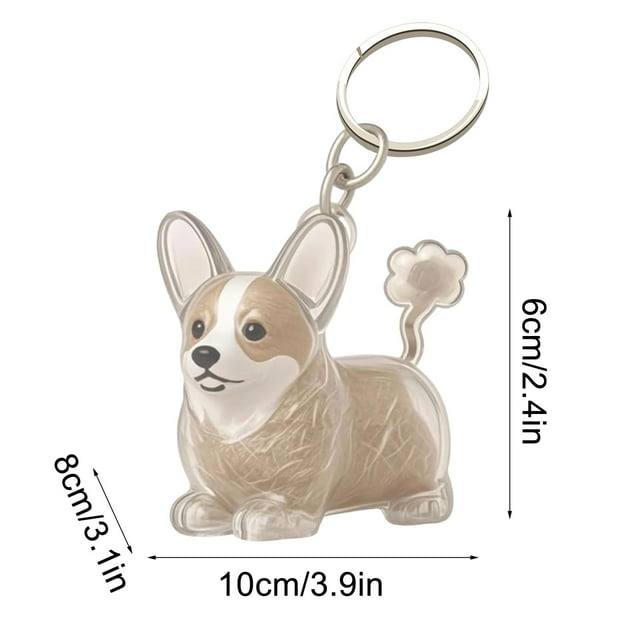 Porte-clés Mémoire de Poils d'Animaux en Résine Transparente, Accessoire Souvenir pour Poils de Chien Ou Chat, Cadeau Portable Réconfortant pour Perte et Souvenir d'Animaux