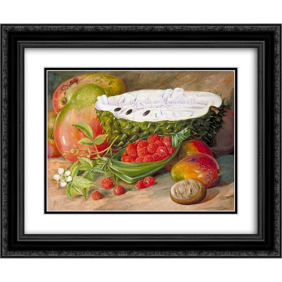 Marianne North 2x Matted 24x20 Black Ornate Framed Art Print 'Fruit Grown in the Seychelles'