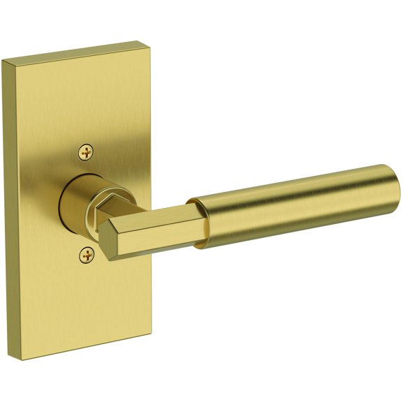 Baldwin Hd.Rid.R.Cfr Riddling Non-Turning One-Sided Dummy Door Lever - Brass