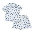 thumbnail image 2 of NAISIBABY Boys Summer Outfit, Short Sleeve Buttons Shirt Elastic Waist Shorts Beach Hawaii Set 2-Piece Blue 3-4T, 2 of 3