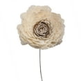 thumbnail image 2 of Vickerman Natural Botanicals 4" Charki Skin Sola Flower 12" Stem 12 Stem per Bag, 2 of 3