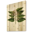 thumbnail image 2 of Designart 'Ancient Plant Life XXVI' Traditional Print on Natural Pine Wood, 2 of 5