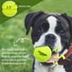 thumbnail image 5 of Pelotas de tenis para perros COVGOPI, paquete de 12 unidades, goma chirriante, 6,4 cm de diámetro, 5 of 7