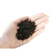 Joshs Frogs Shredded Pine Bark (1 Quart)