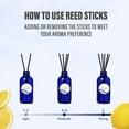 thumbnail image 3 of NODEUR Reed Diffuser Set Lemon, Blue Glass Bottle with Natural Reeds, Long-Lasting Aromatherapy Home Fragrance for Home Office Bathroom , 3.7 FL.OZ, 3 of 6