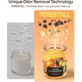 thumbnail image 2 of Orange & Vanilla Odor Eliminating Candles for Home Scented, Eliminates 99% of Pet, Smoke, Food and Other Smells Quickly, Highly Fragranced Candle, Premium Soy Candles Set for Women, 2 of 3