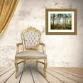 thumbnail image 3 of Frank, Assaf 24x19 Gold Ornate Wood Framed with Double Matting Museum Art Print Titled - Sun rays through forest trees, 3 of 4