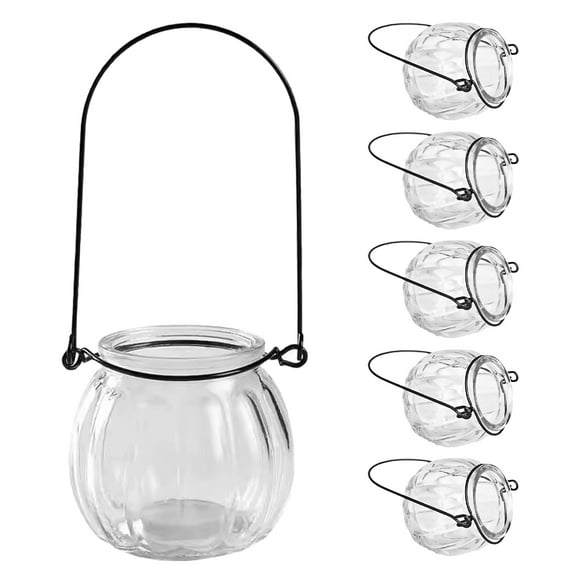 COMPUKAS Clear Glass Hanging Vases for Air Plants and Home Decoration 6 Pieces Small Size