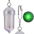 thumbnail image 1 of Waterproof Underwater Fishing Lure Night Fish Attracting, 1 of 7