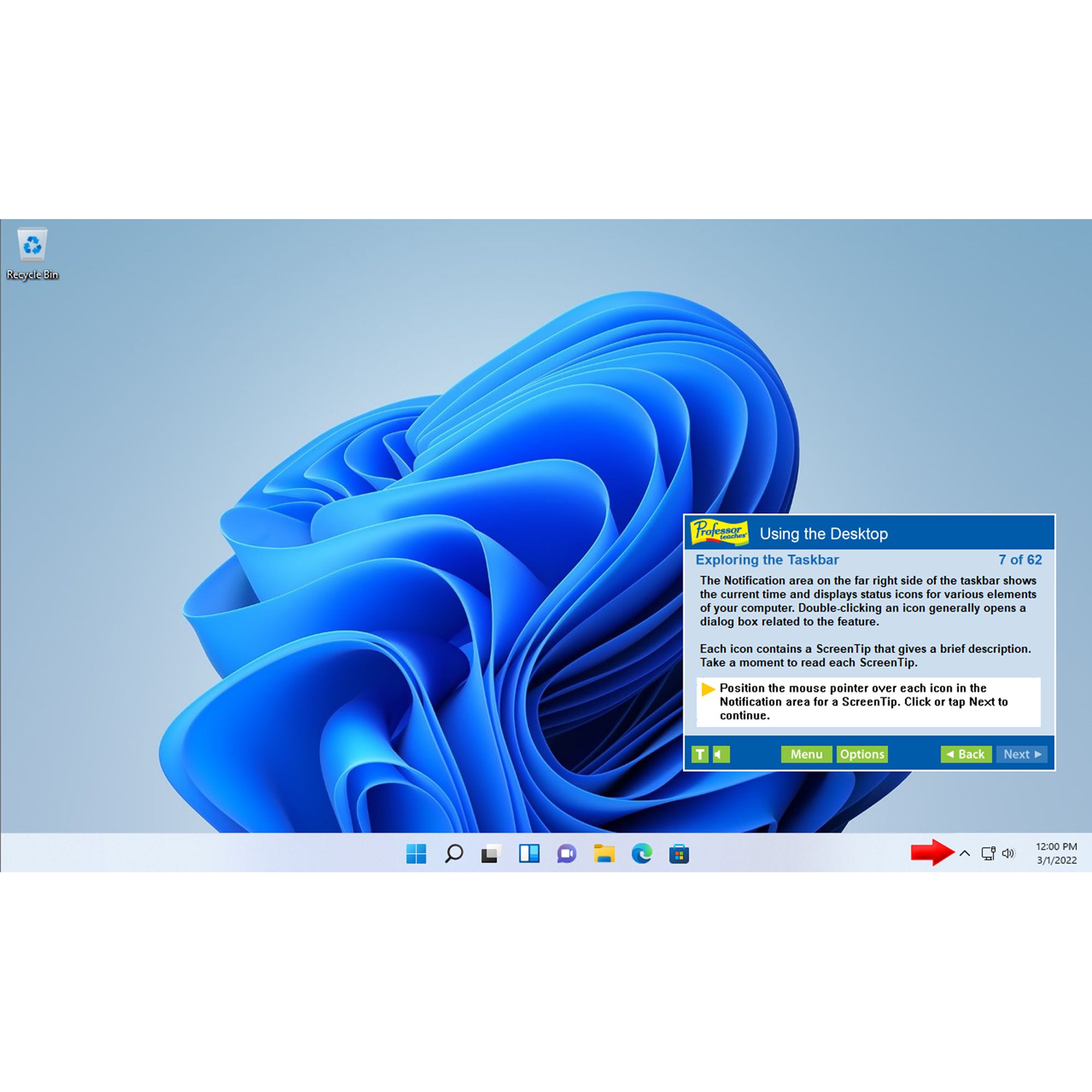 Professor Teaches Office 2019 And Windows 11 Esd