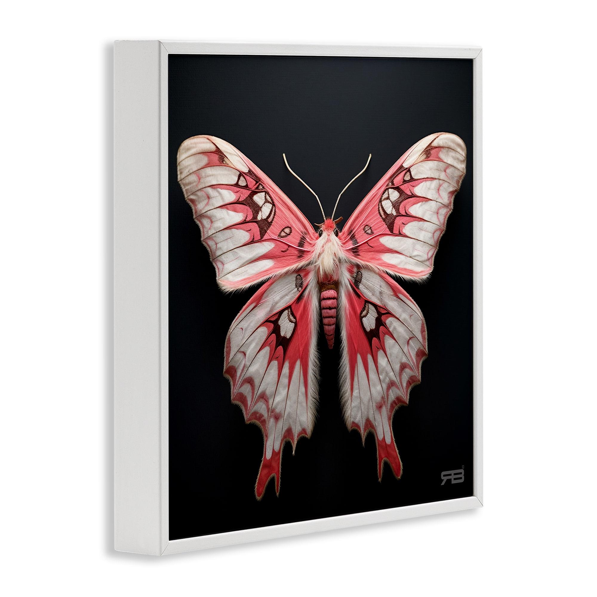 Stupell Industries Red & White Moth Animals & Insects Painting White Framed Art Print Wall Art, 12 x 12