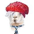 thumbnail image 2 of Loreth, Lanie 26x26 White Modern Wood Framed Museum Art Print Titled - Fashion Llama, 2 of 4
