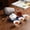 B, variant on Chinese Tea Set Ceramic Portable Teapot Set Outdoor Travel Gaiwan Tea Cups Of Tea Ceremony Teacup