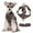 Coffee, variant on Deeceymbur Dog Leash and Collar Set, Dog Leash for Small Medium Dogs Puppy and Cats Outdoor Walking Running