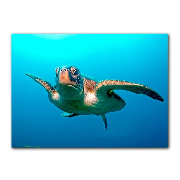 Ready2HangArt  'Squirt Blue' Wrapped Canvas Wall Art