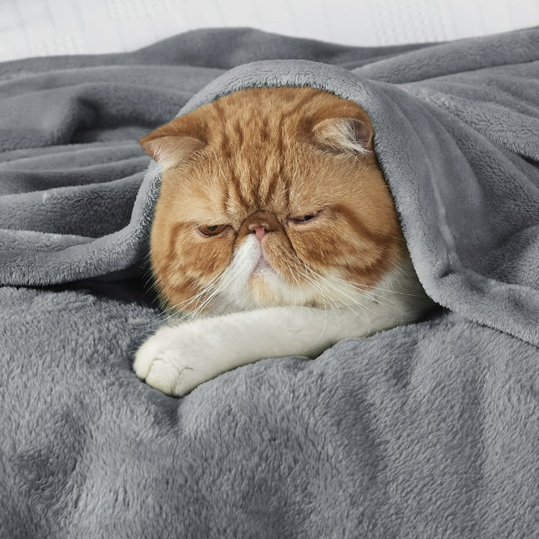 Bedsure Fleece Throw Blanket Grey - Lightweight Fuzzy Cozy Soft