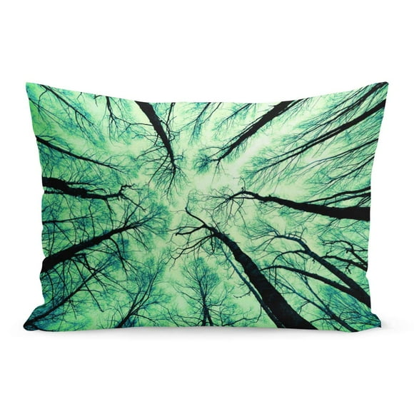 BOSDECO Aspen Green Cedar Looking Up at The Sky White Pillowcase Pillow Cover Cushion Case 20x30 inch