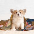 thumbnail image 4 of Naloa Bluebird Blossom Elegance Dog Blanket, 3 Sizes Cat Blanket for Indoor Cats Large Medium Small Dog Gifts-Small, 4 of 8