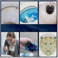 thumbnail image 4 of Toilet Cleaning Tablets for Stain and Odor Removal - Dissolves Uric Acid and Fights Sewer Smells Efficiently, 4 of 5
