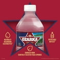 thumbnail image 4 of Ozarka Texas Spring Water, 8 Fl Oz, 12-Pack Plastic Bottles, 4 of 12